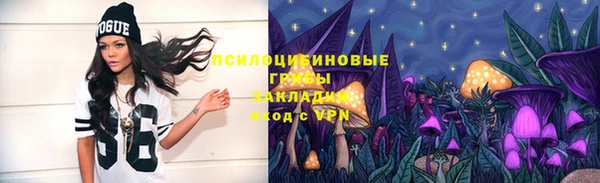 трава Белокуриха