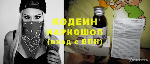 ешки Бородино