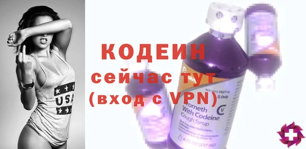 ешки Бородино