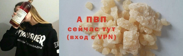 ешки Бородино