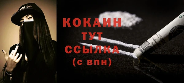 ешки Бородино